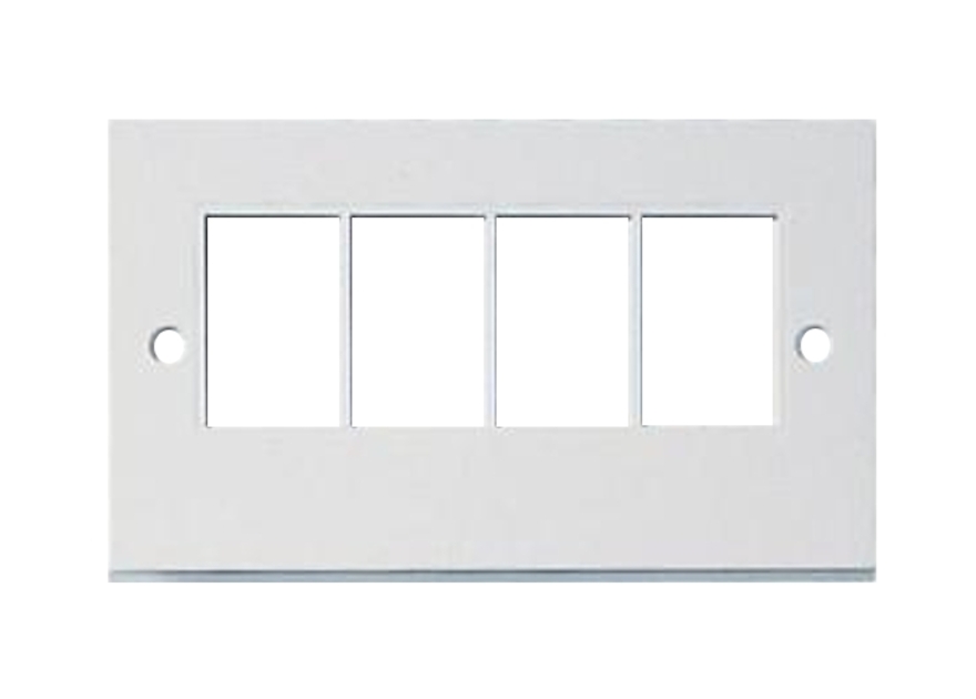DOUBLE GANG LJ6C QUAD FACEPLATE 